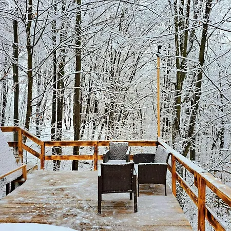 Cabanaaframe Curtea De Arges Exterior photo