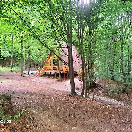 Cabanaaframe Curtea De Arges Exterior photo