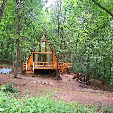 Cabanaaframe Curtea De Arges Exterior photo