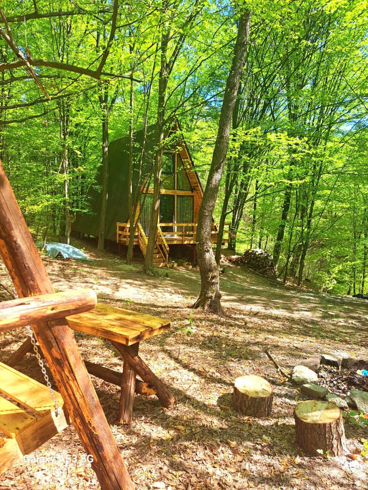 Cabanaaframe Curtea De Arges